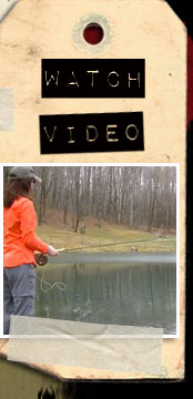 Video using "Lightnin' Bug" Fish Food Worm